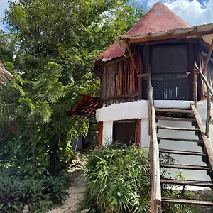 Tree House Pensión Tulum